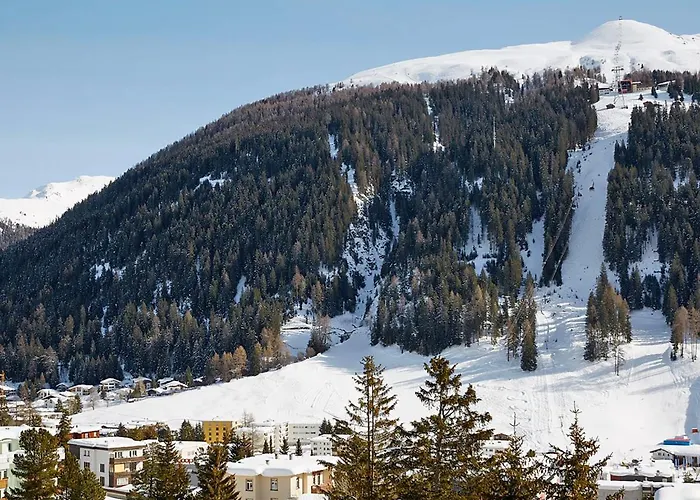 Parkareal 606 By Interhome 达沃斯