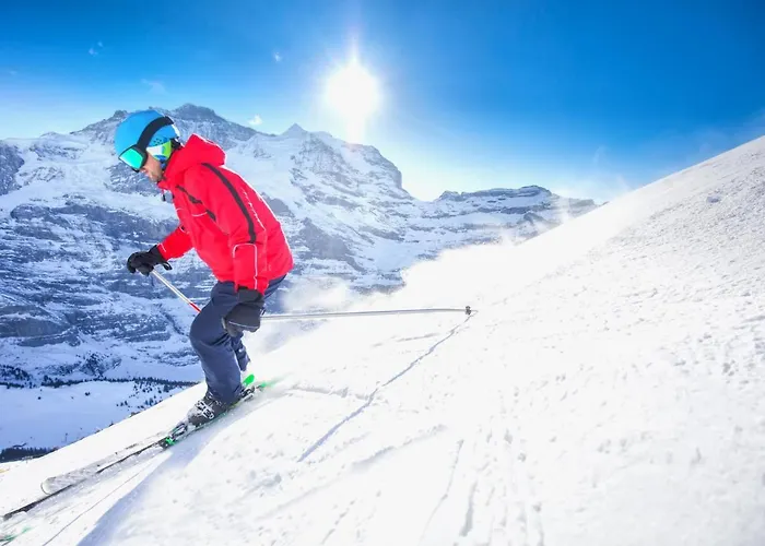 Parkareal 606 By Interhome Apartman Davos