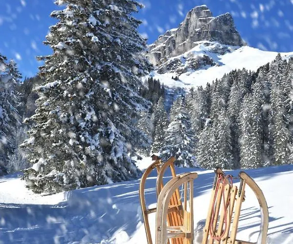 Parkareal 606 By Interhome Apartman Davos